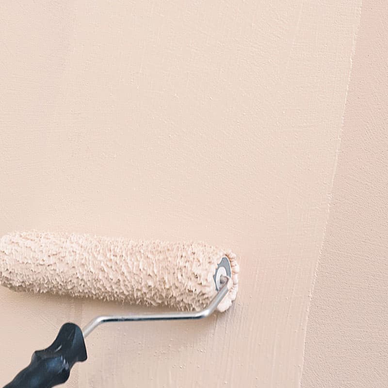 Pinturas, revestimientos, resinas y esmaltes